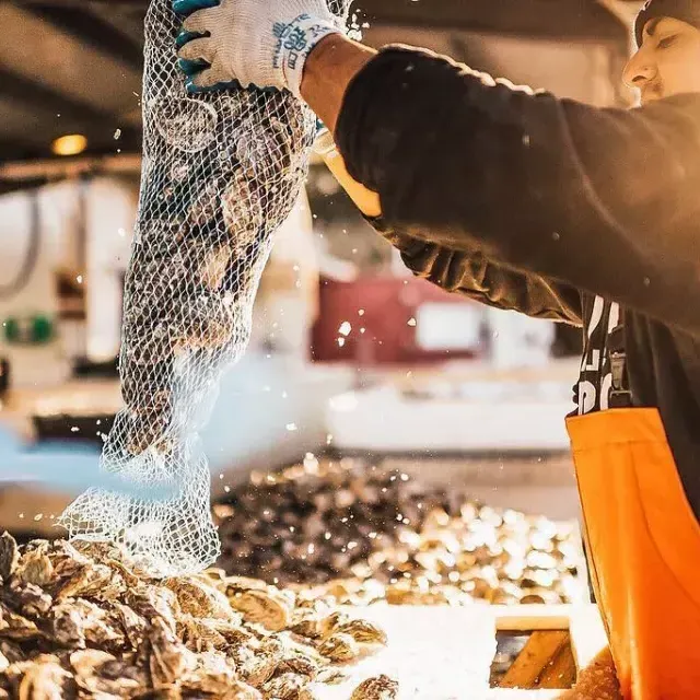 Man dumping out a bag of Oysters